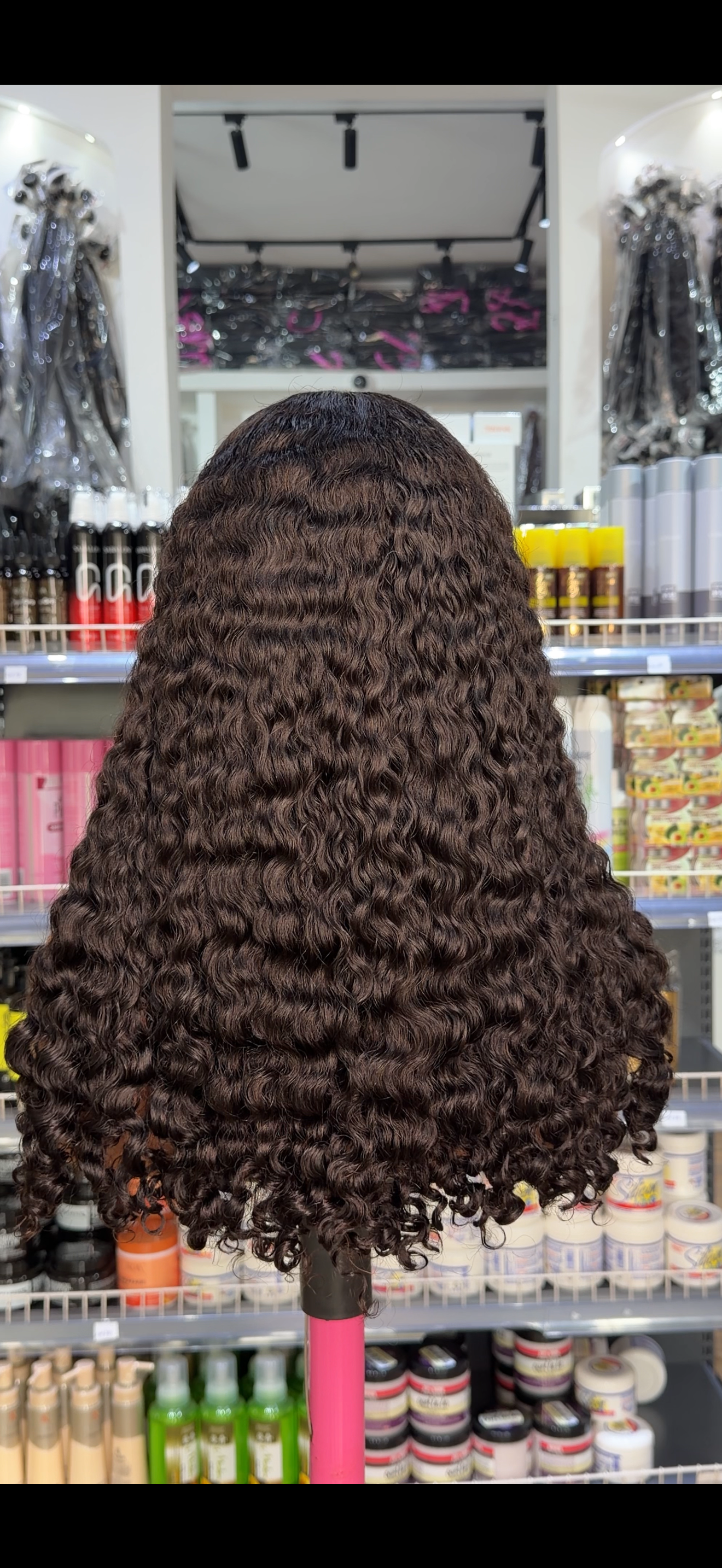 HD SDD Burmese Curl..BC