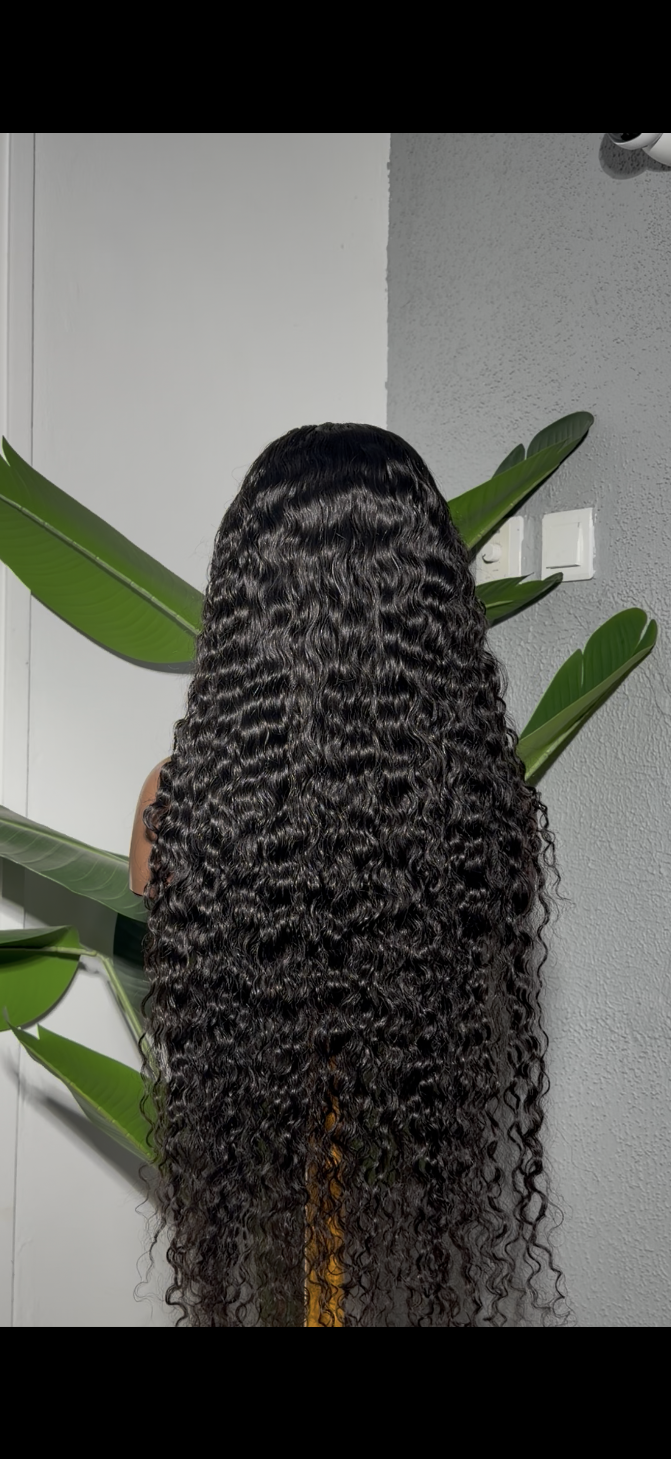 HD 13x4 Frontal Peruvian Curl Wig - Cran #Black